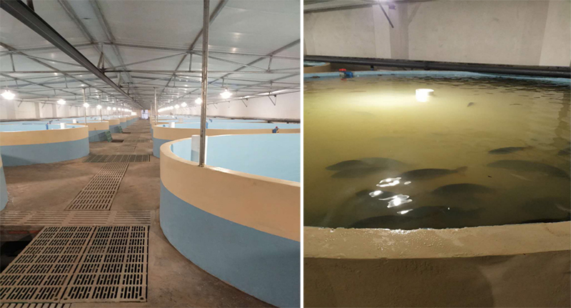 Haiwell(����)PLC/HMI/��/�֙C(j��)APP�ڬF(xi��n)��ˮ�a(ch��n)�r(n��ng)�I(y��)�B(y��ng)ֳ�ϵđ�(y��ng)��