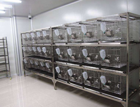 動(dòng)物實(shí)驗(yàn)圖.png 動(dòng)物實(shí)驗(yàn)圖.png